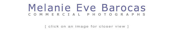 Melanie Eve Barocas Photographer